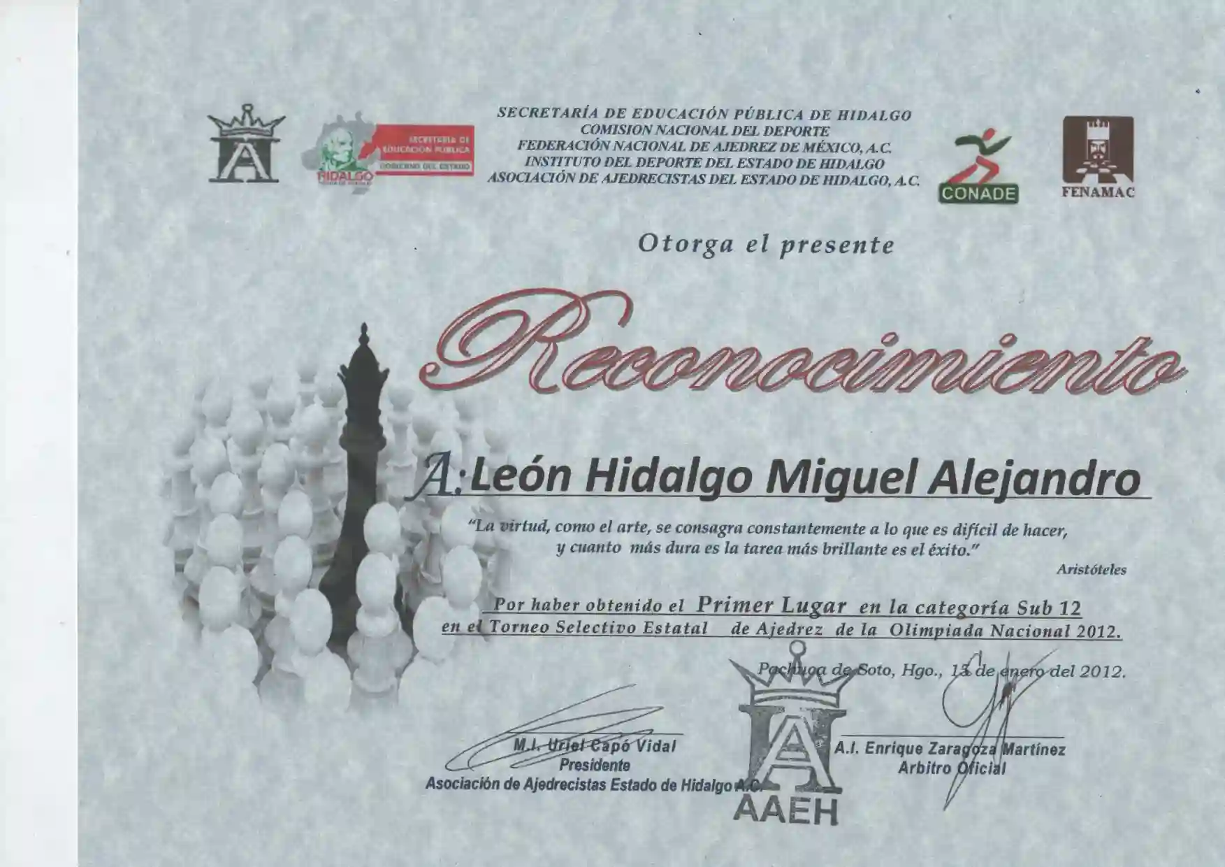 Chess Champion Certificate
