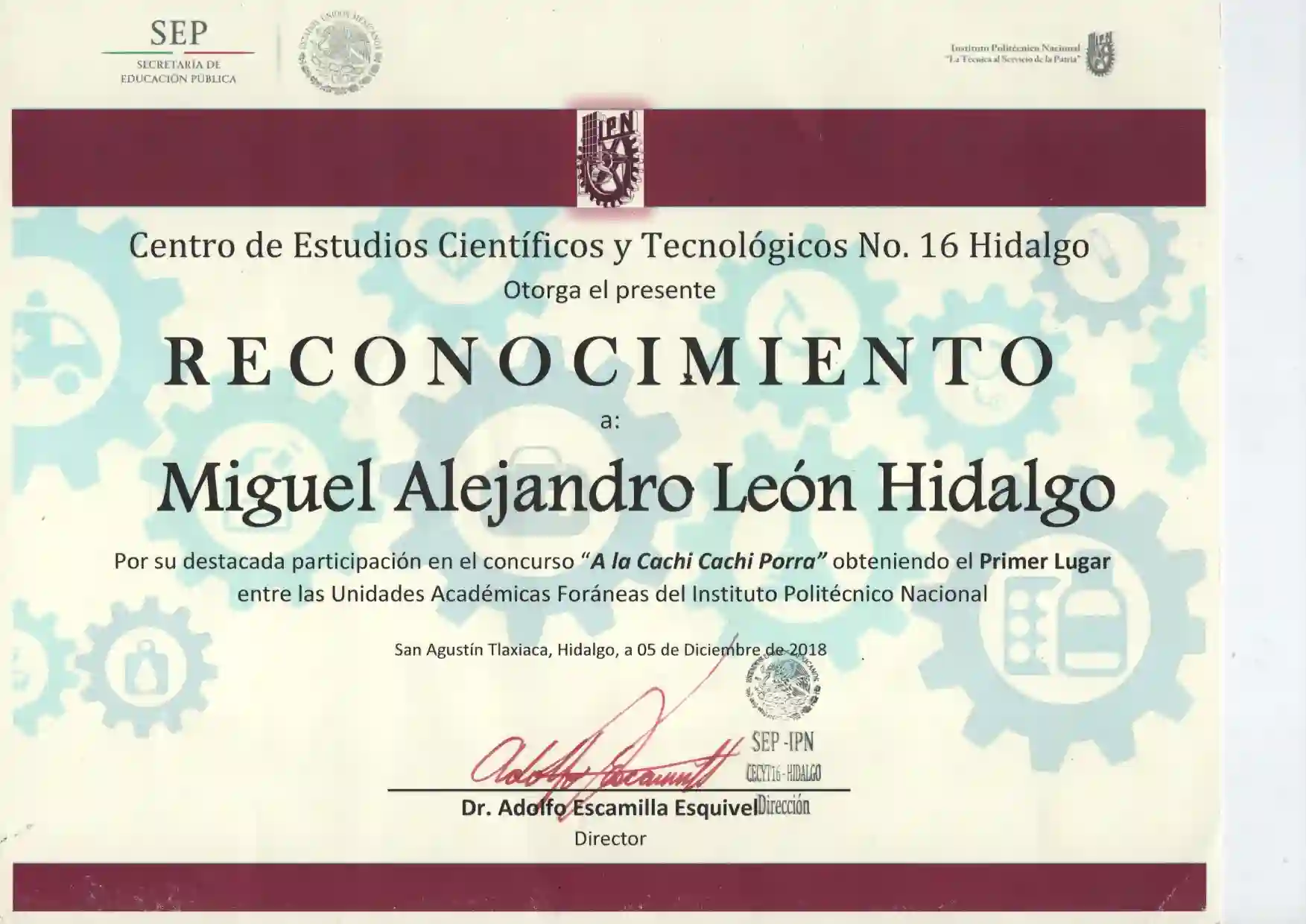 Cachi Cachi Porra Certificate